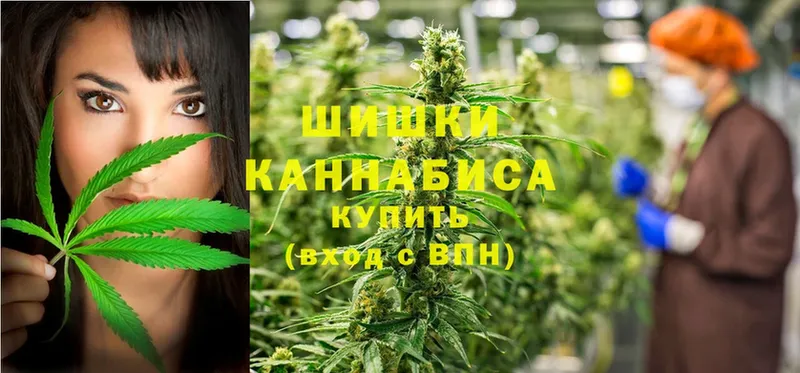 Бошки Шишки SATIVA & INDICA  купить наркоту  Данков 